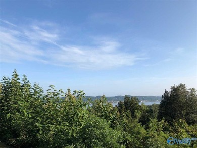 15 +- acres in Guntersville city limits. Development potential - photo 5