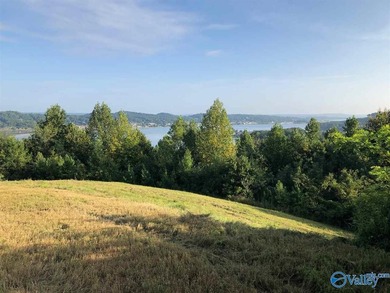 15 +- acres in Guntersville city limits. Development potential - photo 6