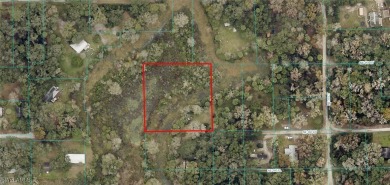 Lake Lot For Sale in Citra, Florida