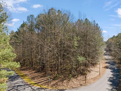 Discover the perfect place to build your Lake Gaston dream home! - photo 4