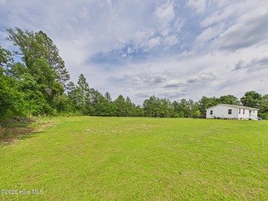 Welcome to this charming 3-bedroom, 2-bath home nestled on 2.5 - photo 39