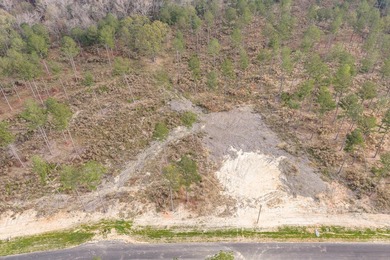 Welcome to Appling, Georgia's premier new luxury community - photo 3