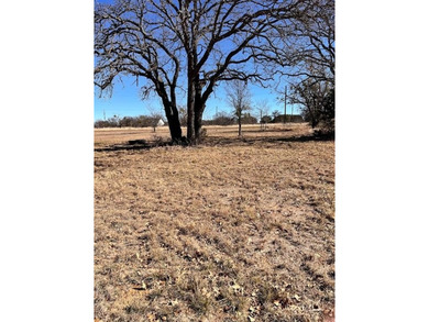 Interior Lot 591 on Breezy Street in the desirable King's Point - photo 3