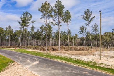 Welcome to Appling, Georgia's premier new luxury community - photo 4