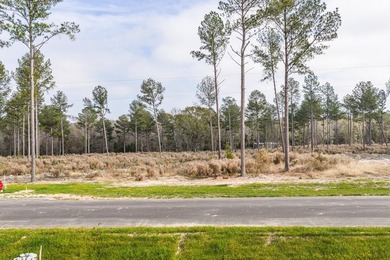 Welcome to Appling, Georgia's premier new luxury community - photo 5