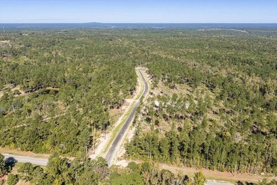 Welcome to Appling, Georgia's premier new luxury community - photo 6