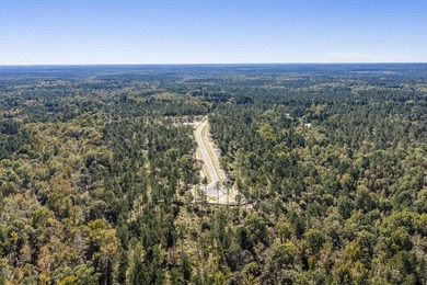 Welcome to Appling, Georgia's premier new luxury community - photo 7