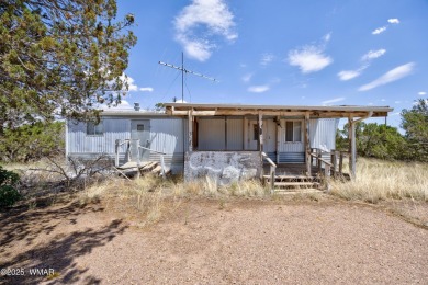 Lake Home For Sale in Show Low, Arizona