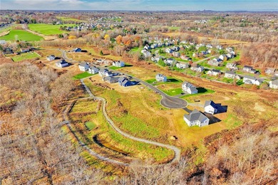 Antonelli Homes is a custom homebuilder. We can build ANY plan - photo 2