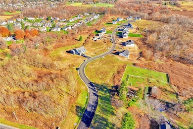 Antonelli Homes is a custom homebuilder. We can build ANY plan - photo 4