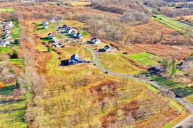 Antonelli Homes is a custom homebuilder. We can build ANY plan - photo 5