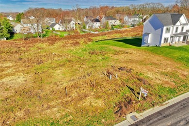 Antonelli Homes is a custom homebuilder. We can build ANY plan - photo 6