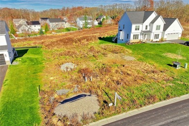 Antonelli Homes is a custom homebuilder. We can build ANY plan - photo 7