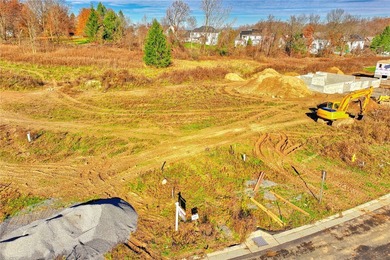 Antonelli Homes is a custom homebuilder. We can build ANY plan - photo 10
