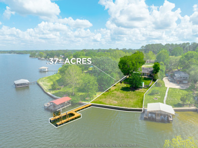 Ideal Waterfront Home on Lake Palestine - photo 1