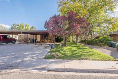 (private lake, pond, creek) Home Sale Pending in Grand Junction Colorado