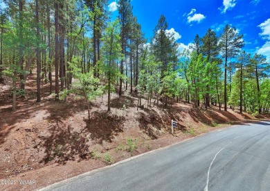 (private lake, pond, creek) Lot Sale Pending in Pinetop Arizona