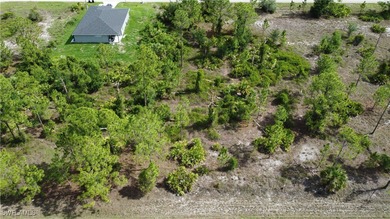 Lehigh Acres Area Lot For Sale in Lehigh Acres Florida