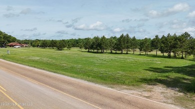This offering is incredibly located on a primary arterial road - photo 7