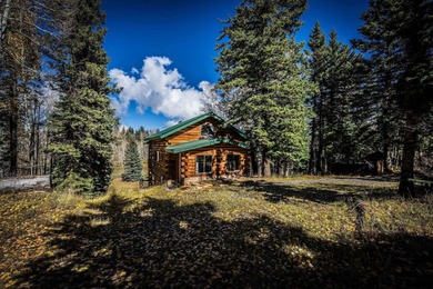 (private lake, pond, creek) Home For Sale in Montrose Colorado