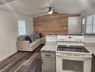 Best Value in Pinellas County - Fully Renovated & Move-In Ready! - photo 1