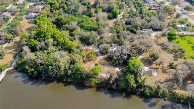 16.96 Acres on the Alafia River Prime Waterfront Development - photo 18