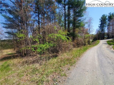 Lake Lot For Sale in West Jefferson, North Carolina