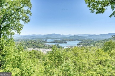 The View That Defined Lake Chatuge. Not just a lake view but - photo 60