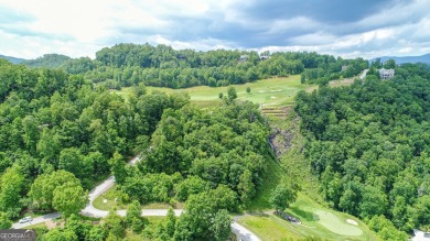 Lake Lot For Sale in Clayton, Georgia