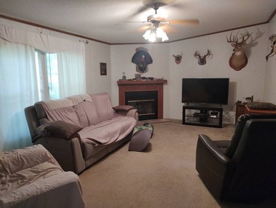 Located just minutes from Paris Landing State Park and Kentucky - photo 15