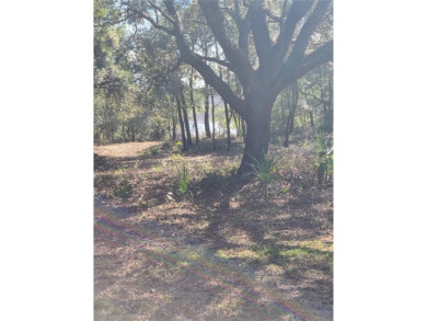 North Lake - Marion County Lot For Sale in Ocklawaha Florida