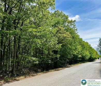 Lake Lot For Sale in Summit Hill, Pennsylvania