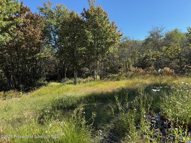 Beautiful second tier Lake View Lot! Nearly 6 Acres of private - photo 3