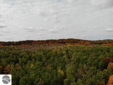 Come home to over half an acre surrounded by land that gives - photo 45