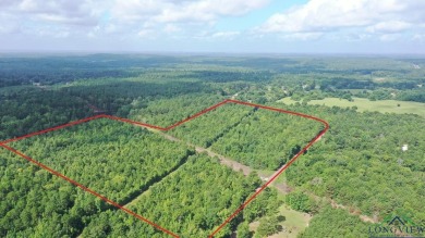 ACCORDING TO THE SELLER HE BELIEVES HE OWNS ALL OF THE MINERALS - Lake Acreage For Sale in Avinger, Texas