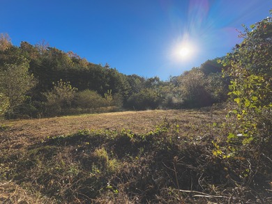 (private lake, pond, creek) Lot For Sale in Dayton Tennessee