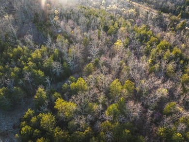 Lake Acreage For Sale in Cabool, Missouri