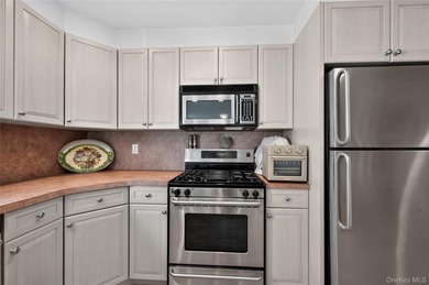 Located on a lovely, quiet street in Northwest Yonkers, this - photo 29