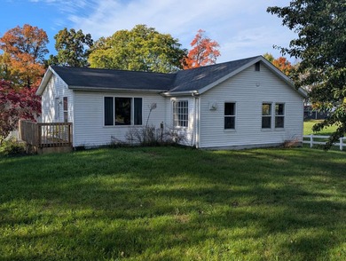 Lake Home For Sale in Stanton, Michigan