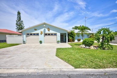DIRECT GULF ACCESS WATERFRONT TROPICAL OASIS IN PARADISE !!! - photo 3
