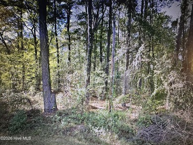 Lake Waccamaw Lot For Sale in Lake Waccamaw North Carolina