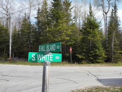 Lake Huron - Mackinac County Acreage For Sale in Cedarville Michigan