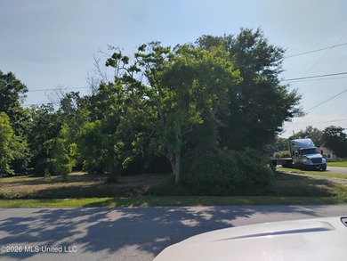 Investors take advantage of .065 acres corner lots (3) located - photo 3
