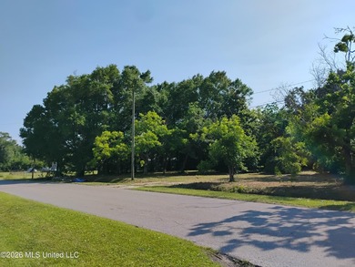 Investors take advantage of .065 acres corner lots (3) located - photo 4