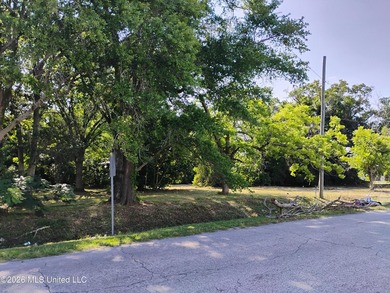 Investors take advantage of .065 acres corner lots (3) located - photo 7