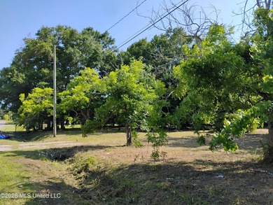 Investors take advantage of .065 acres corner lots (3) located - photo 8