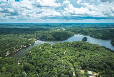 Pinnacle Lake Home For Sale in New Florence Missouri