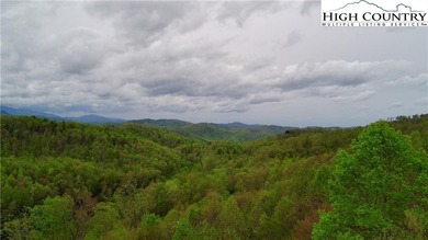 (private lake, pond, coastal) Lot For Sale in Elk Park North Carolina