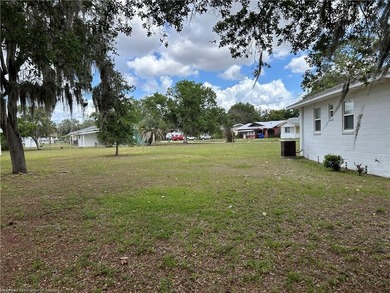 WOW! 1/3 OF AN ACRE (.36) IN DOWNTOWN SEBRING! Plenty of space - photo 23