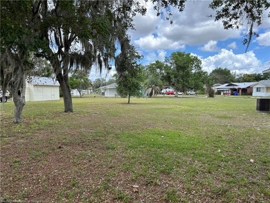 WOW! 1/3 OF AN ACRE (.36) IN DOWNTOWN SEBRING! Plenty of space - photo 24